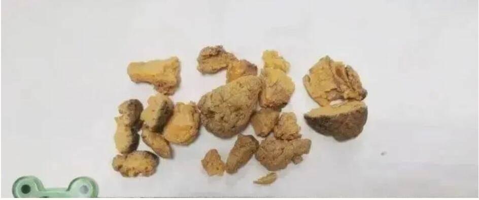 最新鴿子術(shù)引領(lǐng)未來生活變革，高科技產(chǎn)品帶來前所未有的體驗